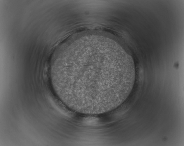 X0000116590266200912312042