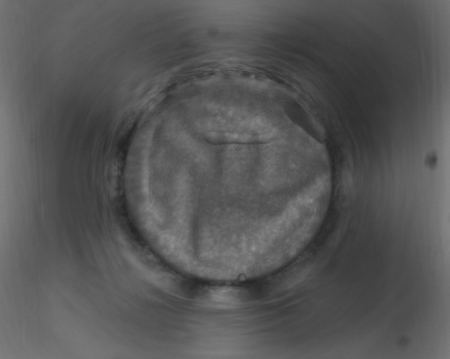 X0000116590268200912312042