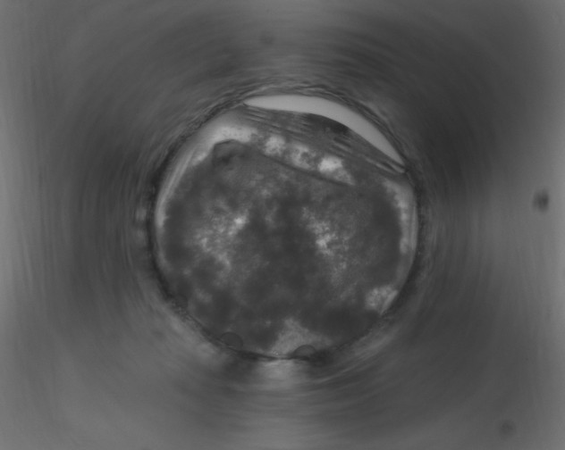 X0000116590269200912312042