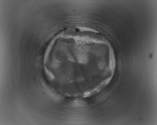 X0000116590270200912312042