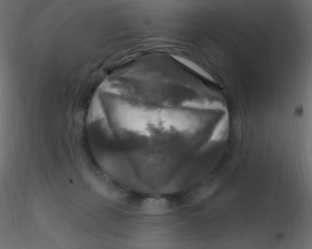 X0000116590271200912312042