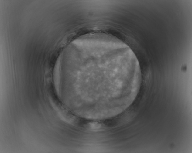 X0000116590272200912312042