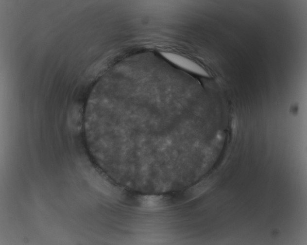 X0000116590273200912312042