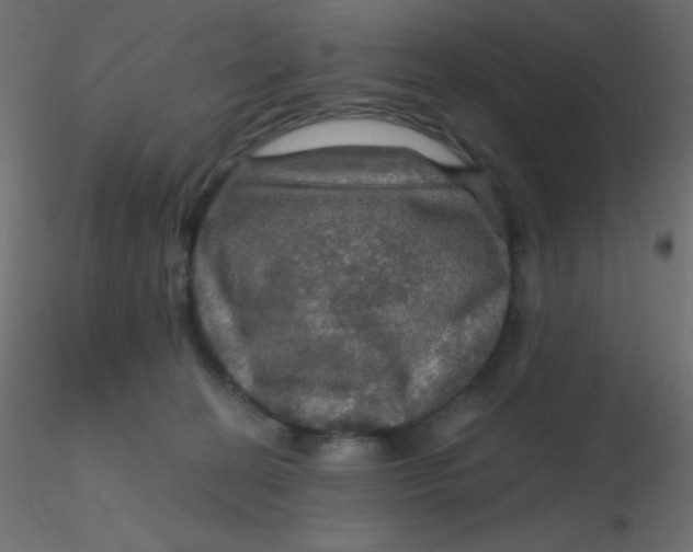 X0000116590274200912312042