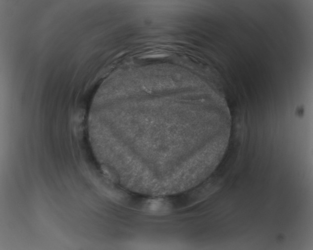 X0000116590275200912312042