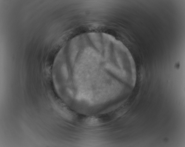 X0000116590276200912312042