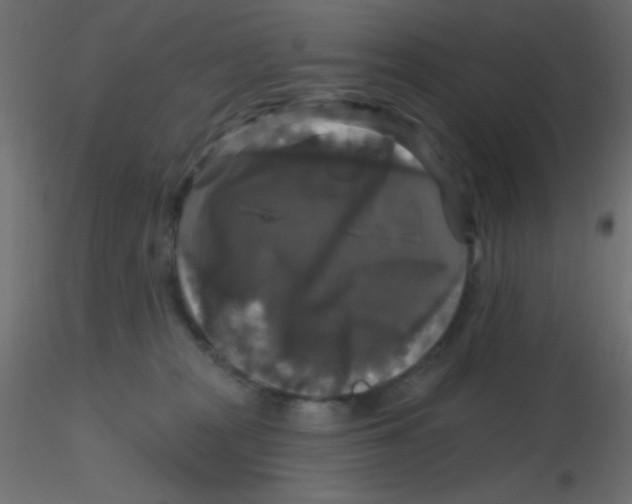 X0000116590277200912312042