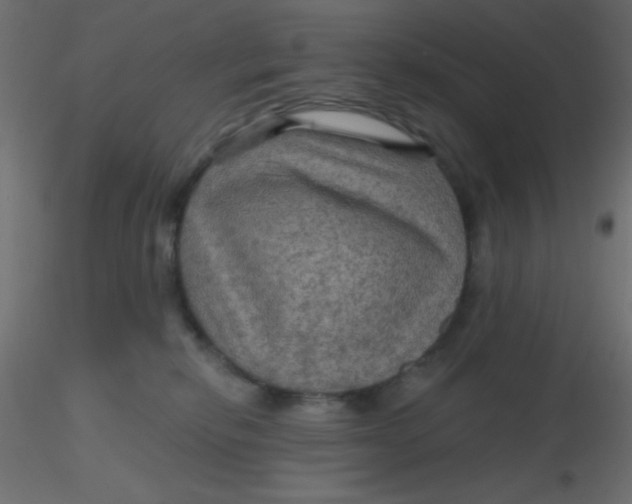 X0000116590278200912312042