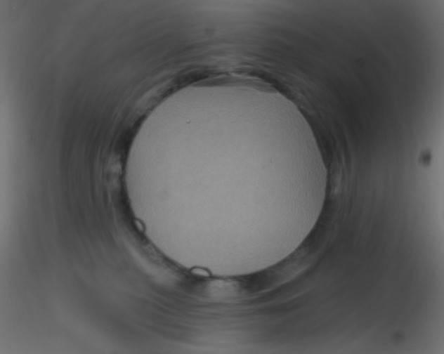 X0000116590279200912312042