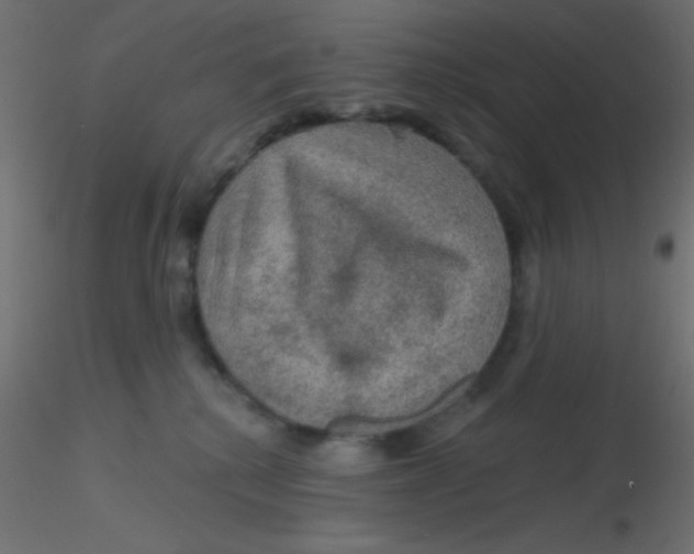 X0000116590280200912312042