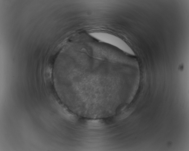 X0000116590281200912312042