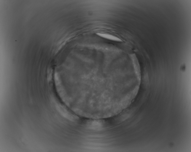 X0000116590282200912312042