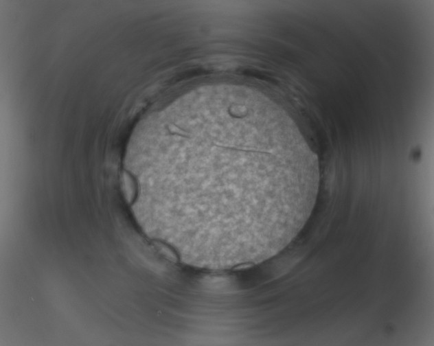 X0000116590283200912312042