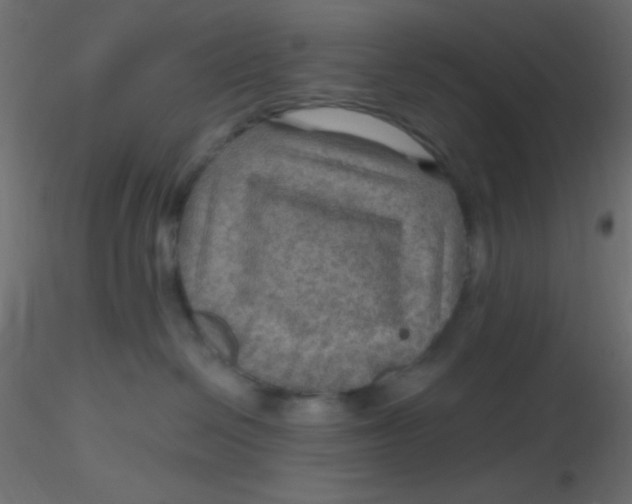 X0000116590286200912312042