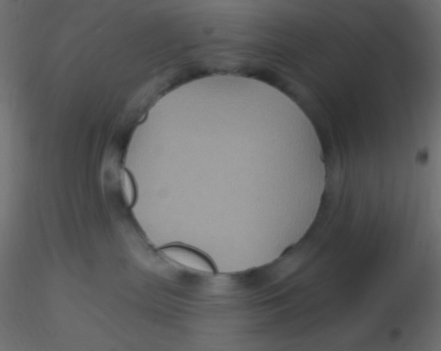 X0000116590287200912312042