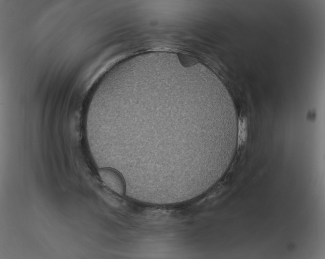 X0000116590291200912312042