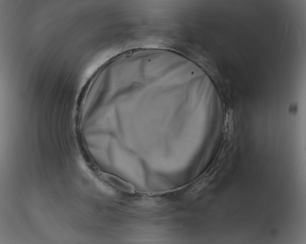 X0000116590292200912312042