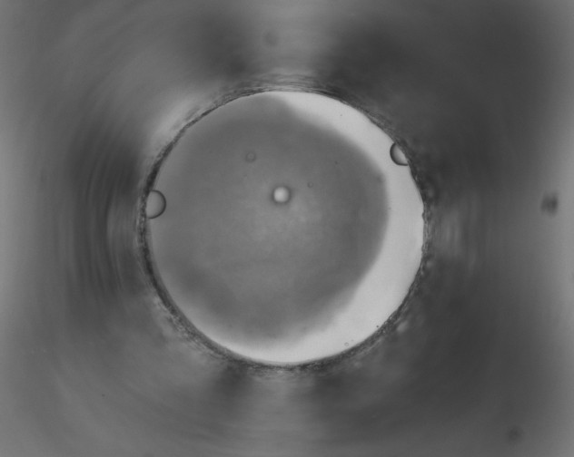 X0000116590293200912312042