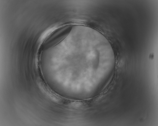 X0000116590294200912312042