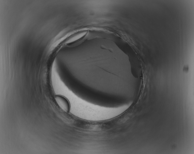 X0000116590295200912312042