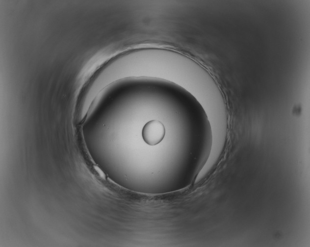 X0000116590296200912312042