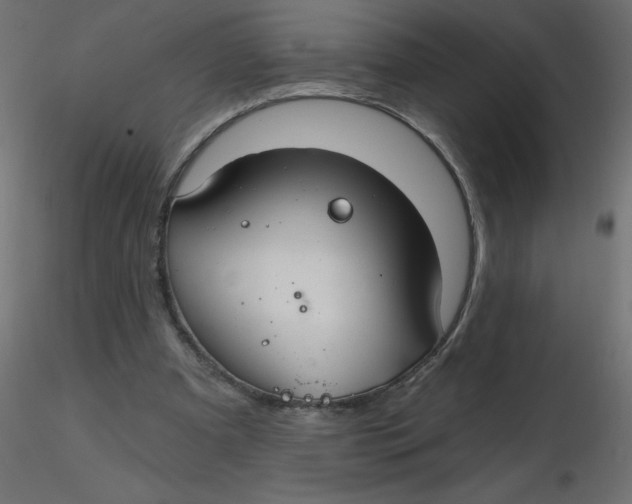 X0000116590297200912312042