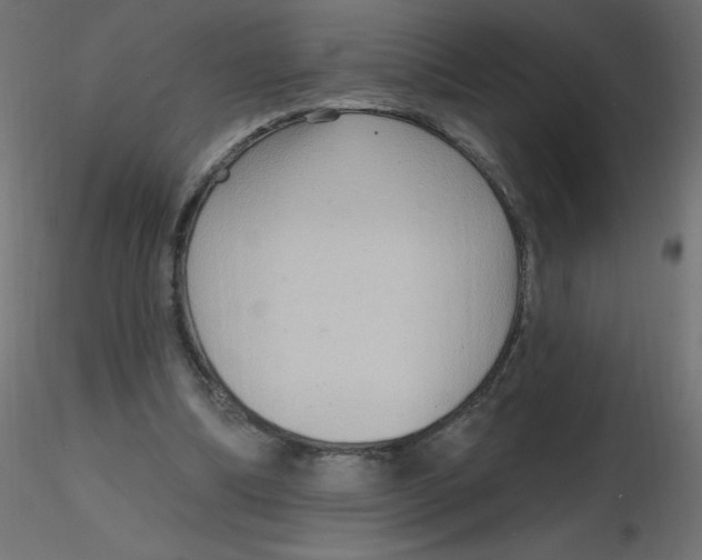 X0000116590298200912312042