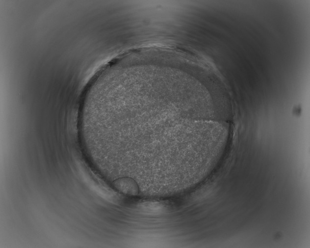 X0000116590299200912312042