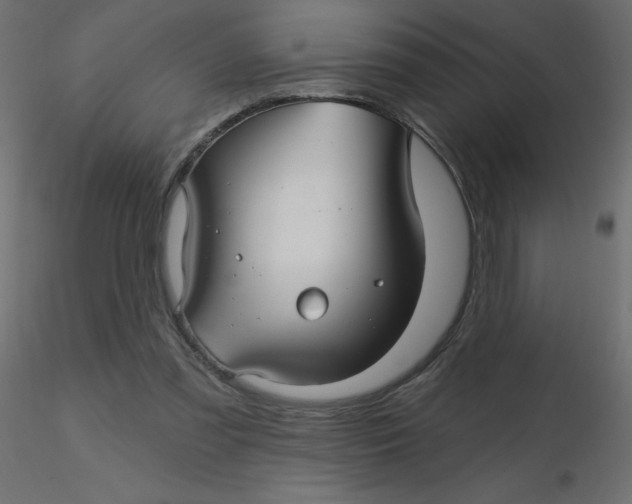 X0000116590301200912312042