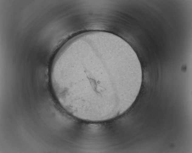 X0000116590302200912312042