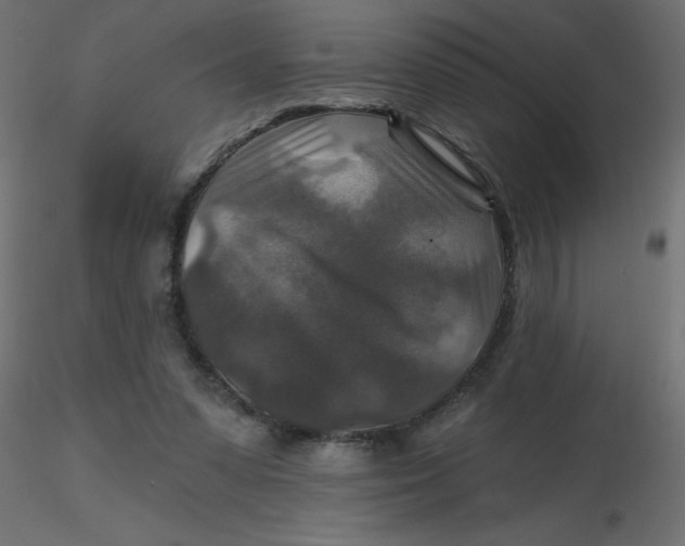 X0000116590303200912312042