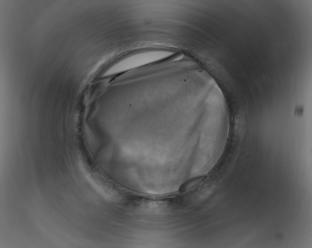 X0000116590304200912312042