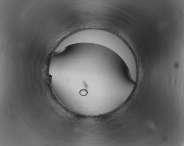 X0000116590305200912312041