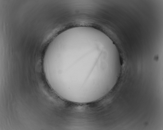 X0000116590306200912312041