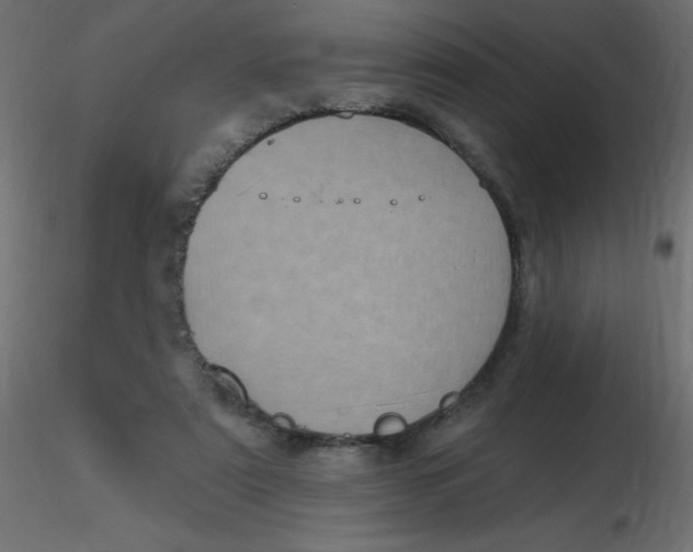 X0000116590307200912312041