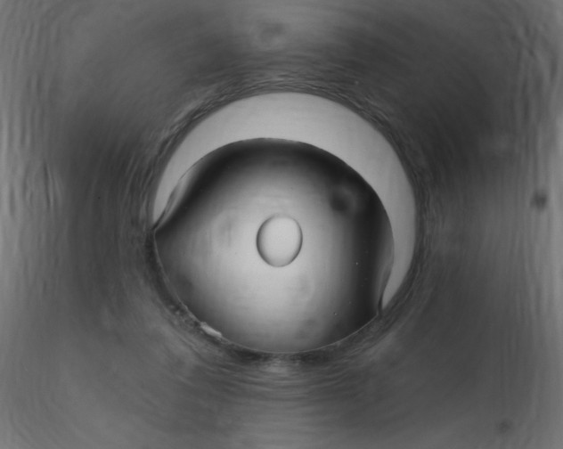 X0000116590308200912312041