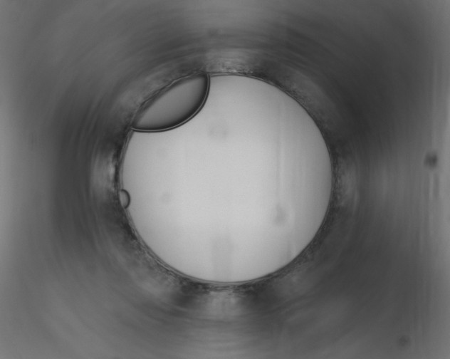 X0000116590310200912312041