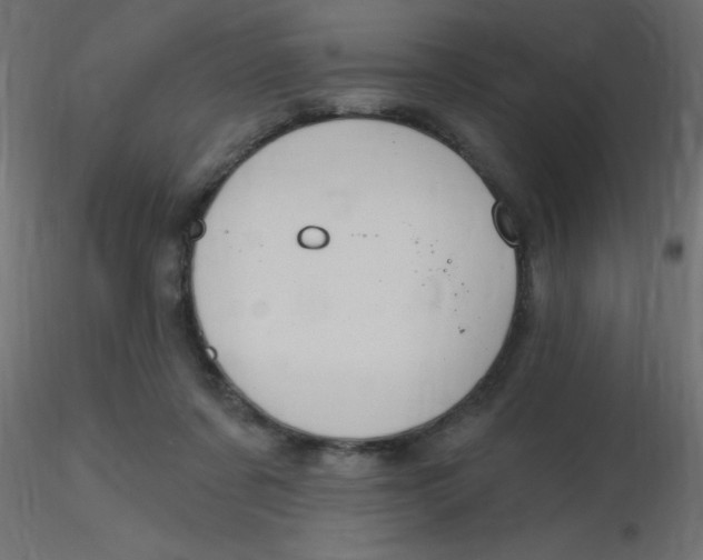 X0000116590311200912312041