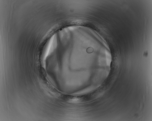 X0000116590312200912312041