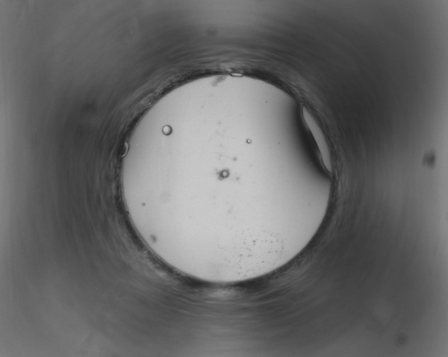 X0000116590313200912312041