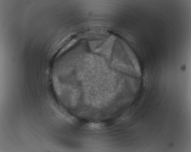 X0000116590314200912312041