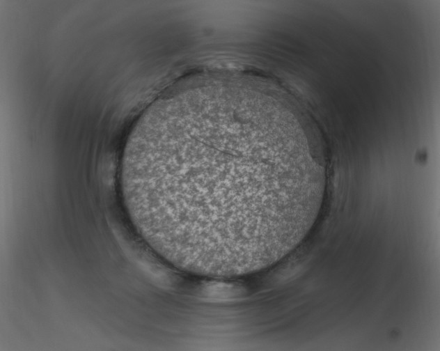 X0000116590315200912312041