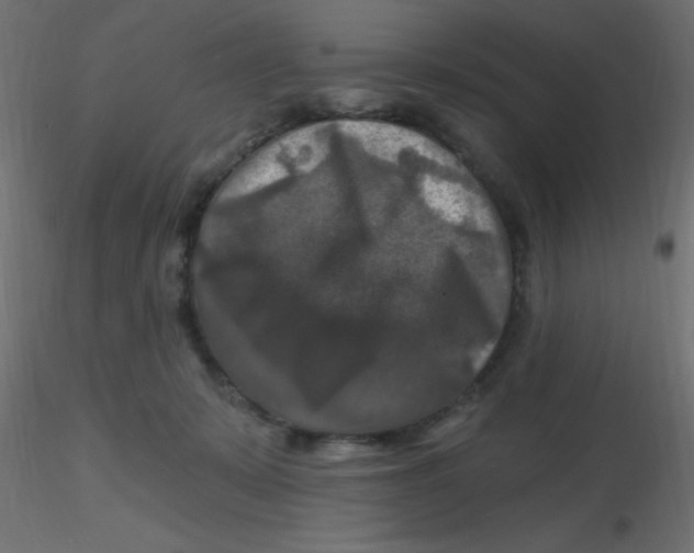 X0000116590319200912312041