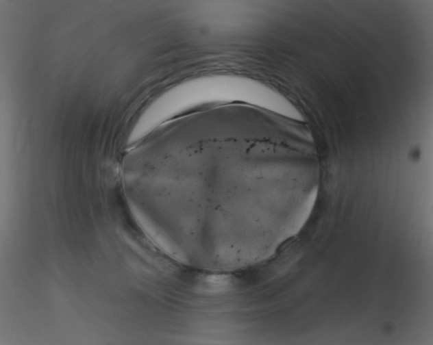 X0000116590324200912312041