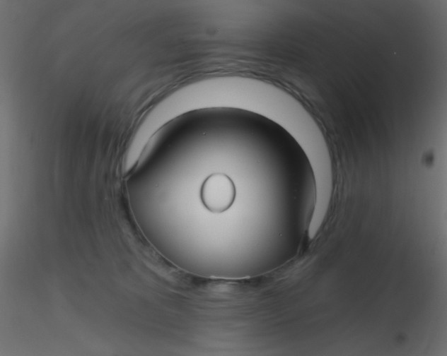 X0000116590325200912312041