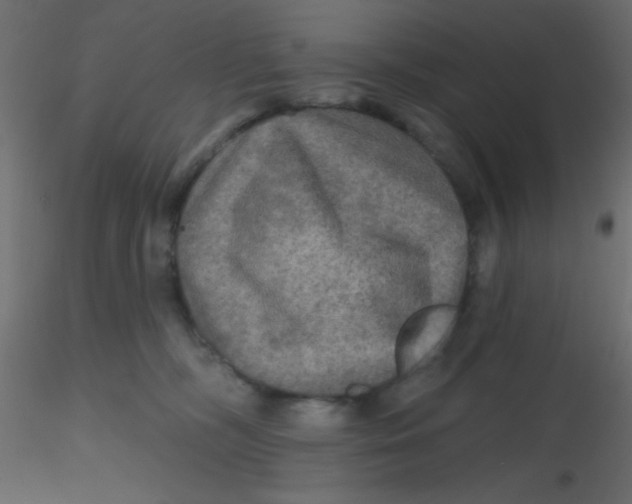 X0000116590326200912312041