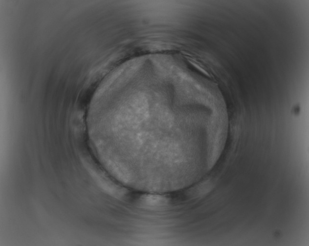 X0000116590327200912312041