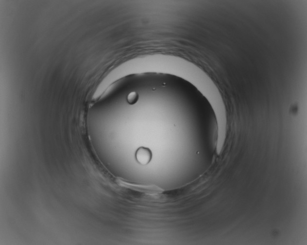 X0000116590328200912312041