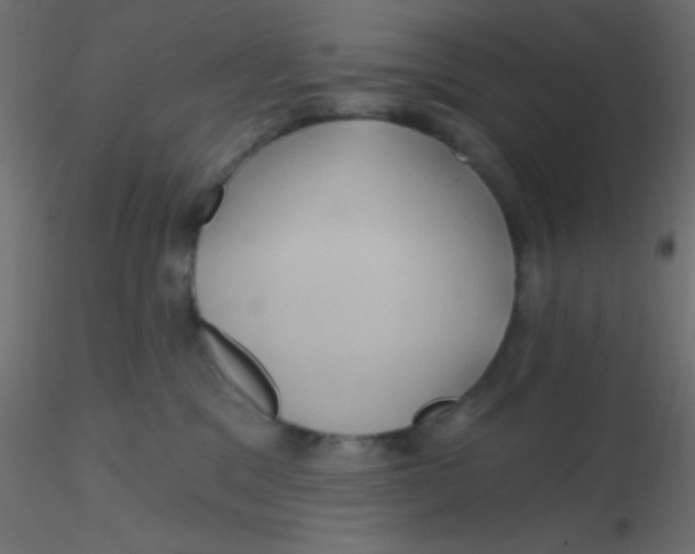 X0000116590329200912312041