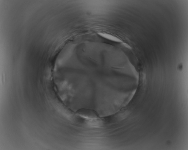 X0000116590331200912312041